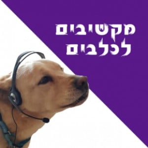 מקשיבים לכלבים פודקאסט