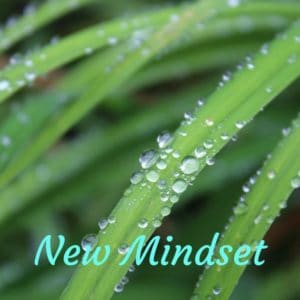 New Mindset - יוצרים תודעה
