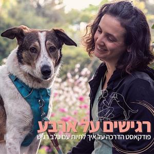 רגישים על ארבע פודקאסט לוגו